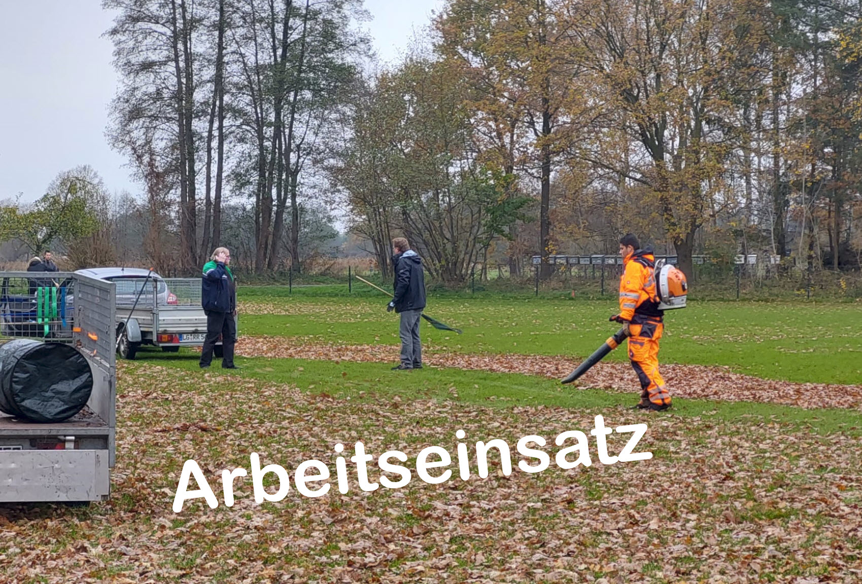 TSVBardowick Arbeitseinsatz