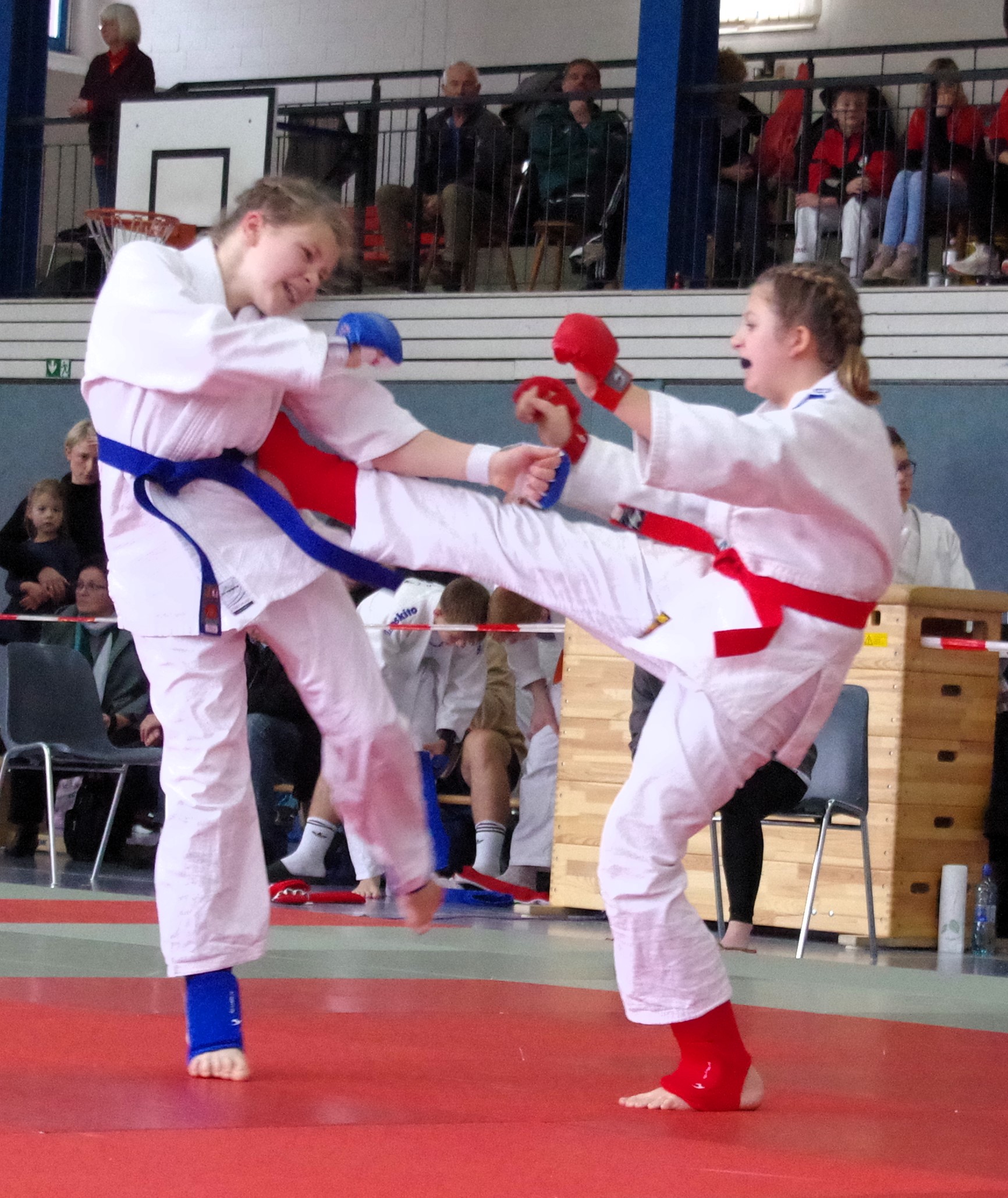 TSVBardowick JuJutsu 1