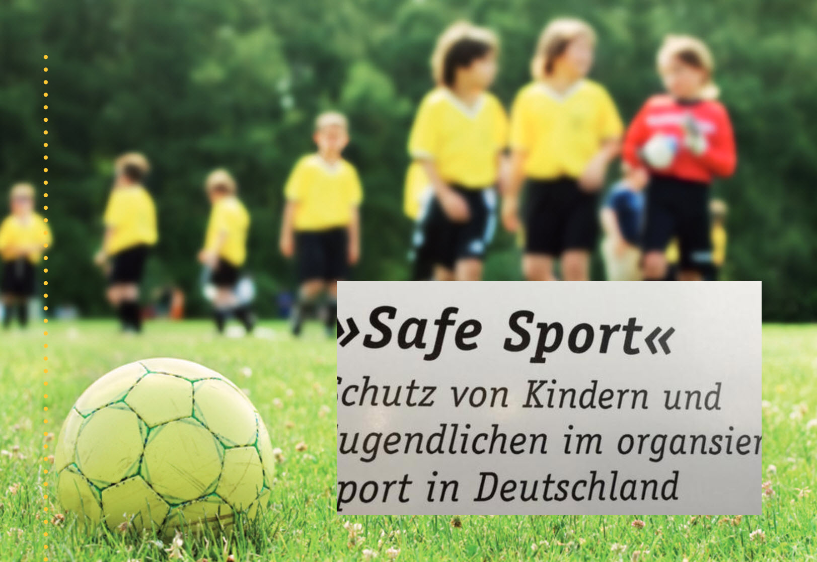 TSVBardowick Safe Sport 2
