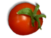 Captcha image 9013