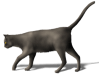 Captcha image 2549