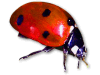 Captcha image 5777